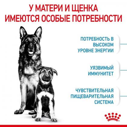 Для щенков крупных пород: 3 нед.-2 мес., беременных и кормящих сук (Maxi Starter), 4кг Срок 13.12.26-2