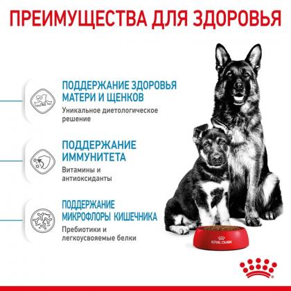 Для щенков крупных пород: 3 нед.-2 мес., беременных и кормящих сук (Maxi Starter), 4кг Срок 13.12.26-4