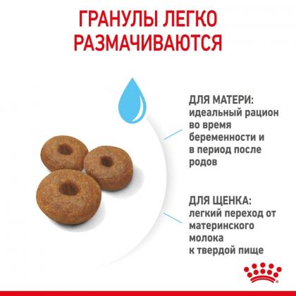 Для щенков крупных пород: 3 нед.-2 мес., беременных и кормящих сук (Maxi Starter), 4кг Срок 13.12.26-3