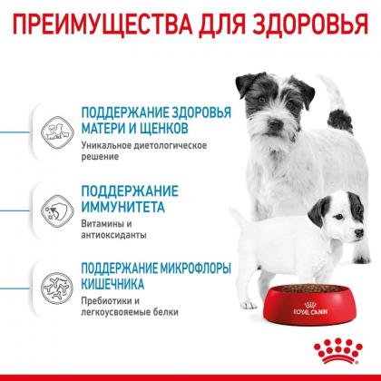 Сухой корм для щенков малых пород: 3 нед.-2 мес., беременных и кормящих сук (Mini Starter) , 3кг, БРАК УПАКОВКИ-2