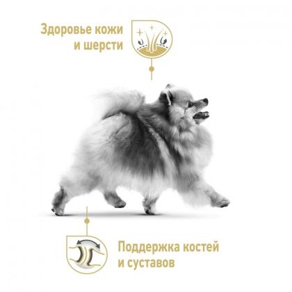 Для померанского шпица (Pomeranian), 500г, СРОК 3.06.26-1