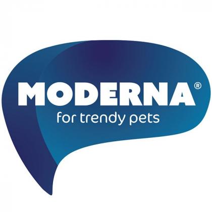 Переноска Trendy Люкс2 с металлической дверцей и замком, 49*32*30см-2