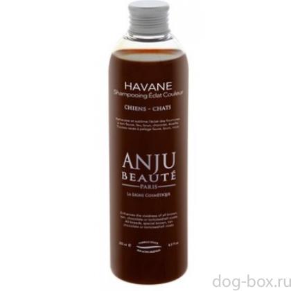 Шампунь "Рыжие, Шоколадные и Коричневые окрасы" (Shampooing Havane), 1:5-0
