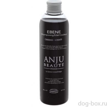 Шампунь "Благородный Черный окрас" (Ebene Shampooing), 1:5-0