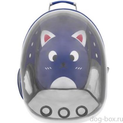 Рюкзак прозрачная стенка, "Сальва", синий, 31*42*38см-0