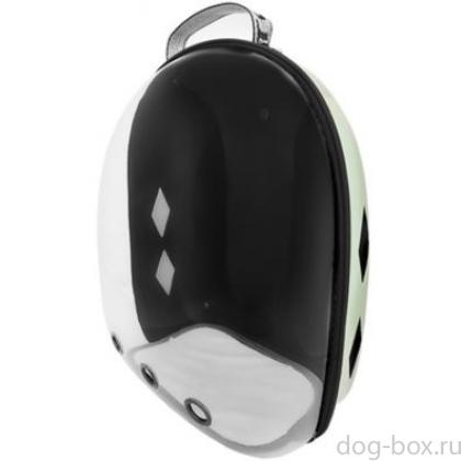 Рюкзак прозрачная стенка "Панакс", светло-зеленый, 31*42*38см-0