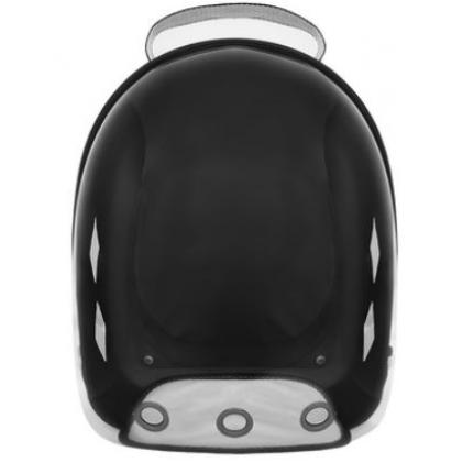 Рюкзак прозрачная стенка "Панакс", светло-зеленый, 31*42*38см-1