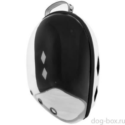 Рюкзак прозрачная стенка "Галиум", белый, 31*42*38см-0