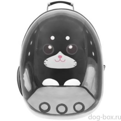 Рюкзак прозрачная стенка "Дарк", черный, 31*42*38см-0