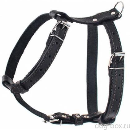 Шлейка кожаная, шея 50, грудь 70*2см-0