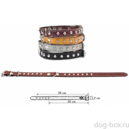 Ошейник кожаный "Клёпа", 1 слой, 26-34см*1,2см -0