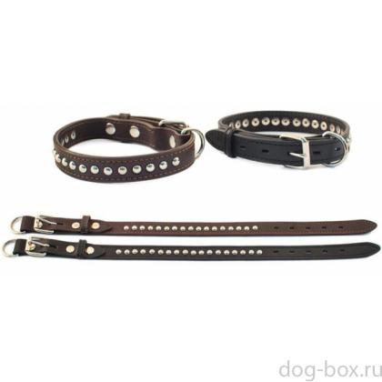 Ошейник 2-х слойный «Kenner» с п/к перед пряжкой украшенный 25мм*35-45см, кожа, черный-0