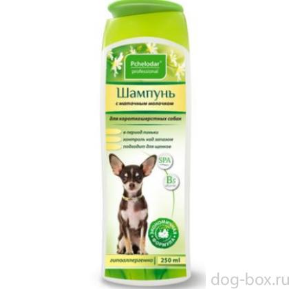 Шампунь гигиенический с маточным молочком для короткошерстных собак-0