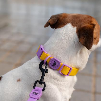 Поводок из биотана "Матрица" S, сиреневый, 1,5*200см-1