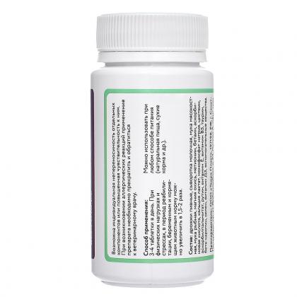 Мультивитаминный комплекс для пожилых собак для поддержания иммунитета и замедления развития возрастных изменений, senior dog, 100таб.-1