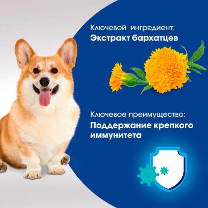 Лакомство IMMUNITY для собак, с говядиной и добавлением экстракта бархатцев Для поддержания иммунитета, 90г-1