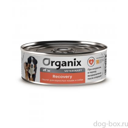 Консервы диетические Recovery для взрослых кошек и собак в период анорексии, выздоровления и послеоперационного восстановления, 100г-0