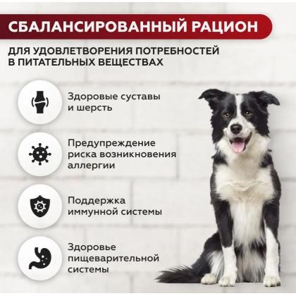 Сухой корм для взрослых собак СРЕДНИХ пород ГОВЯДИНА, 5кг-1