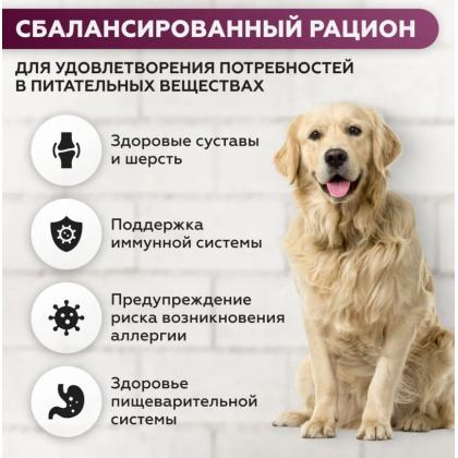 Сухой корм для взрослых собак КРУПНЫХ пород Ягненок и рис, 5кг-1