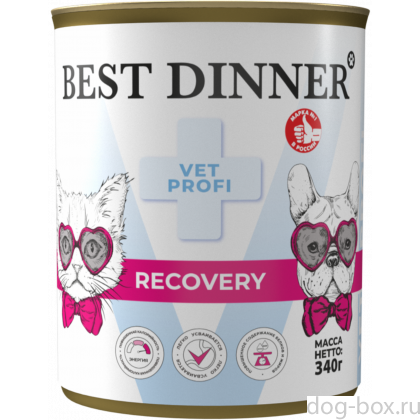 Влажный корм повышенной калорийности для кошек и собак в период истощения и послеоперационного восстановления Recovery, 340г-0