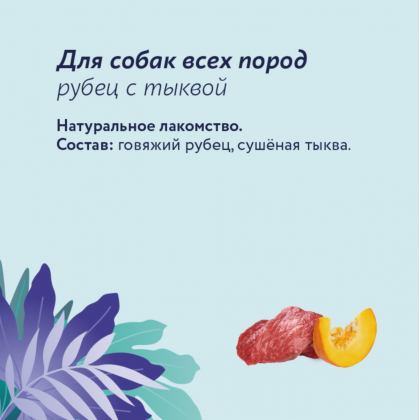 Лакомство для собак Рубец с тыквой, 80г-1