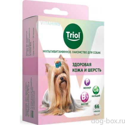 Мультивитаминное лакомство для собак "Здоровая кожа и шерсть", 33г-0