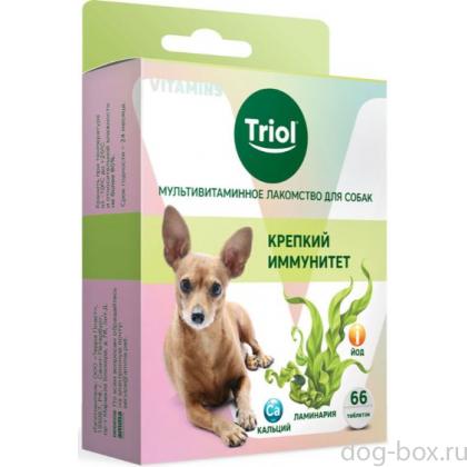 Мультивитаминное лакомство для собак "Крепкий иммунитет", 33г-0