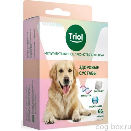 Мультивитаминное лакомство для собак "Здоровые суставы", 33г-0