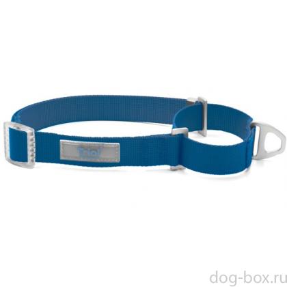 Ошейник-мартингейл (полуудавка) для собак нейлоновый "Стандарт" M, синий, 2*38-54см-0