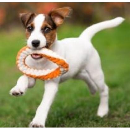 Мягкое флисовое кольцо для щенков (PUPPY FRIENDS SOFT RING) 13,5см-2