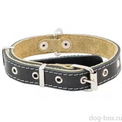 Ошейник кожаный черный, 2 слоя, язычок, 25мм, 30-45см-0