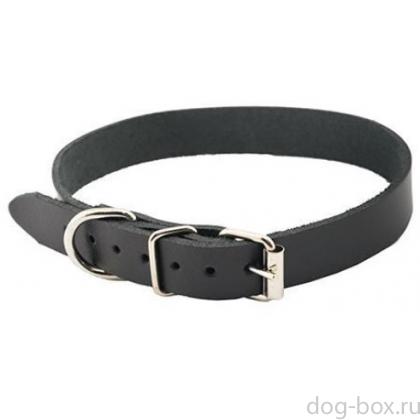 Ошейник кожаный черный "Лайт" 14мм, 25-31см-0
