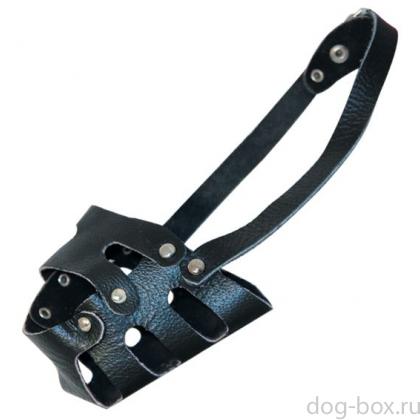 Намордник кожаный цельнокройный №2, 12*9*10см-0