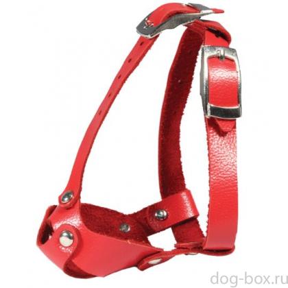 Намордник кожаный "Йорк мини", 1,5кг, 10*8*7см-0