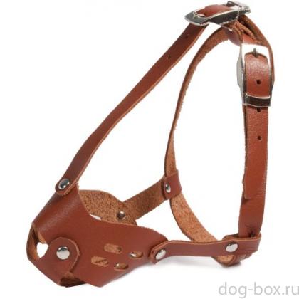 Намордник кожаный "Той-терьер", 2,5 кг, 14*12*10см-0