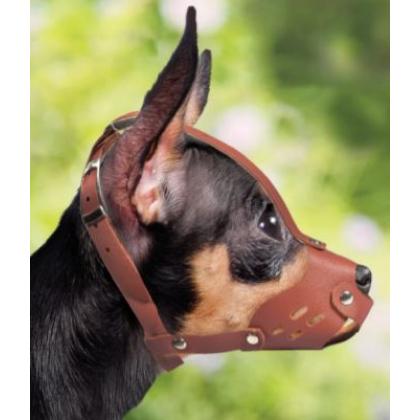 Намордник кожаный "Той-терьер", 2,5 кг, 14*12*10см-1
