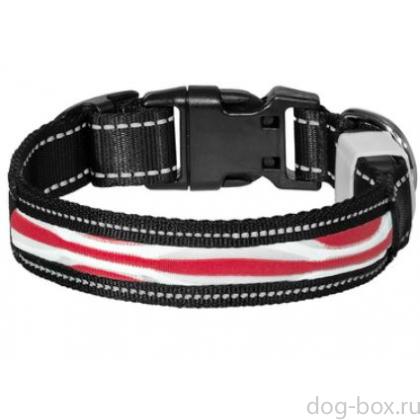 Светодиодный ошейник "Фэйм", красный, размер L, 2,5x60см-0