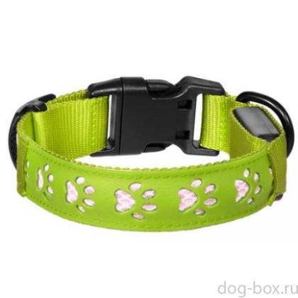 Светодиодный ошейник "Нокко", зелёный, размер S, 2,5x40см-0
