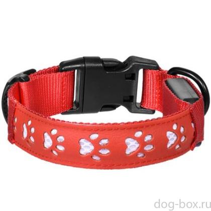Светодиодный ошейник "Нокко", красный, размер S, 2,5x40см-0