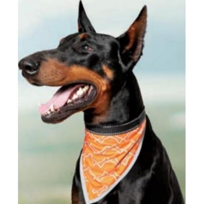 Бандана для собак со светоотражающими элементами "Косточки" M, оранжевая, 31-33см-1