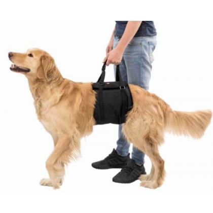 Транспортировочный бандаж для собак, L–XL: 75-90 см/35-45 кг (19403)-1