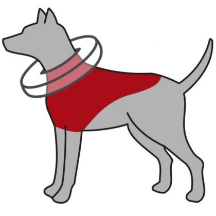 Защитный надувной воротник для собак, XS (20-24 см), синий (19541)-2