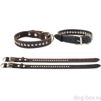 Ошейник 2-х слойный «Kenner» с п/к перед пряжкой украшенный 25мм*35-45см, кожа, черный-0