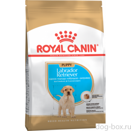 Для щенков Лабрадора: до 15 мес. (Labrador Retriever junior 33) Для щенков Лабрадора: до 15 мес. (Labrador Retriever junior 33)-0