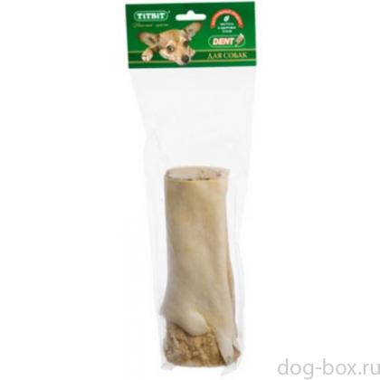 Голень говяжья большая, 20-22 см-0