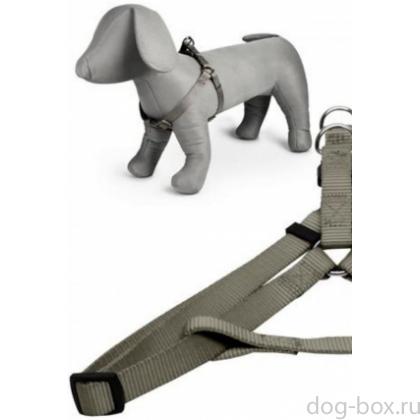 Нейлоновая шлейка 15мм-35-60см, серая-0