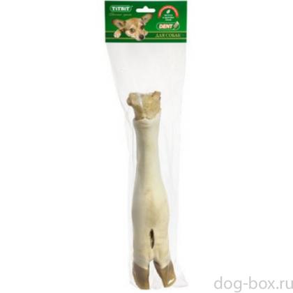 Нога говяжья для крупных собак, 40 см-0