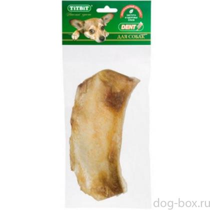 Высушенный лопаточный хрящ, 1 шт.-0