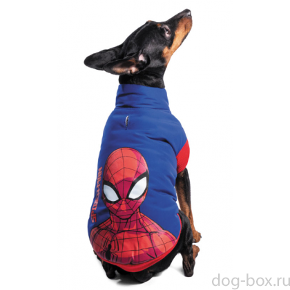 Попона зимняя "Marvel - Человек-паук" XS (20см.)  -0