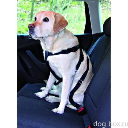 Автомобильный ремень безопасности для собак 50-70 см (1291)-0